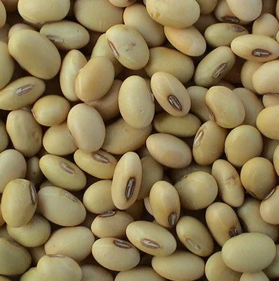 Soya beans